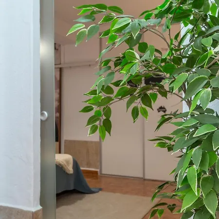 Apartamento La Colina * Τορρεμολίνος